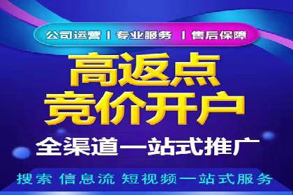 实战解析：SEM推广代运营案例